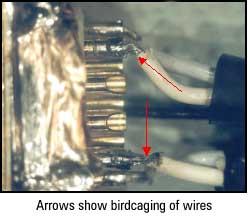 Birdcaging of wire strands exiting a connector